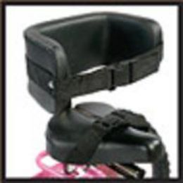 Triaid Padded Back and Trunk Support for Imp Bike